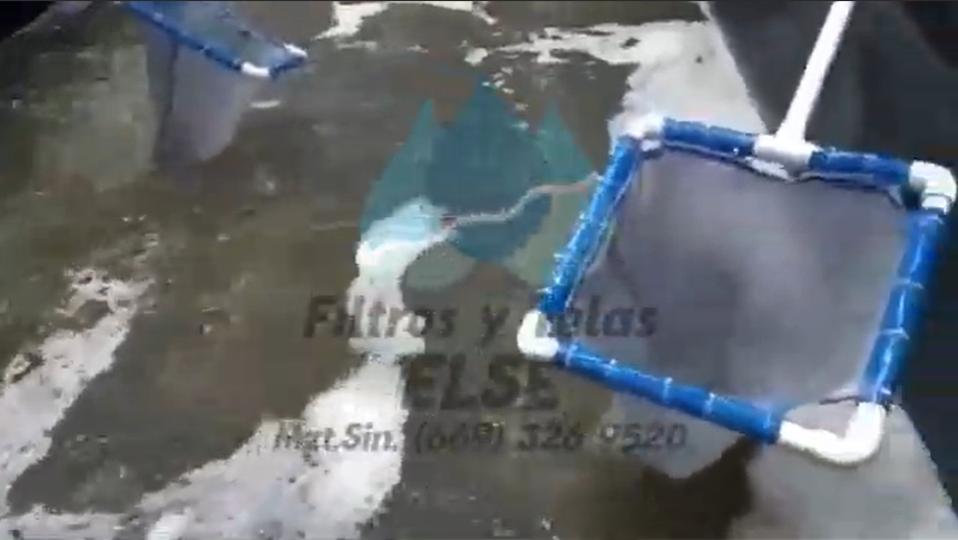 Video de Laboratorio camaronero con filtros Else